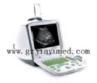DP-6900全數(shù)字B超診斷儀